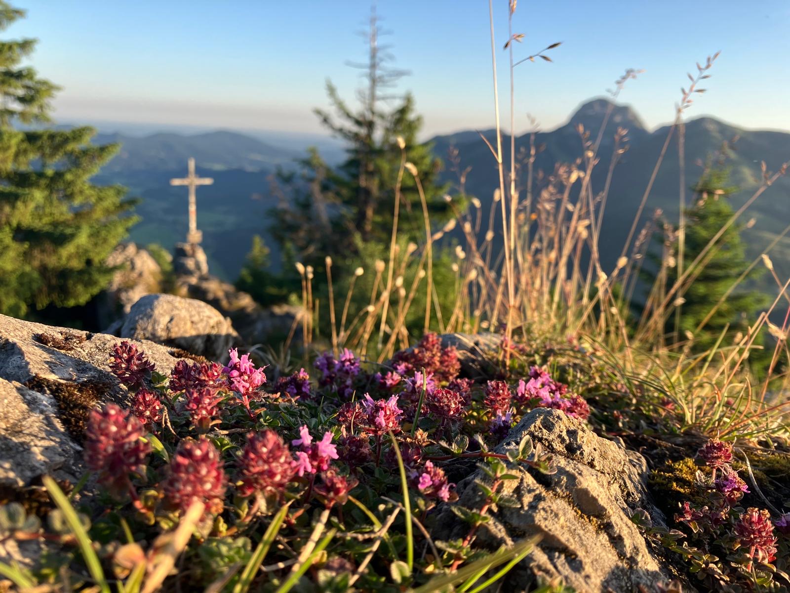 Einblicke und Inspiration – Bild 5