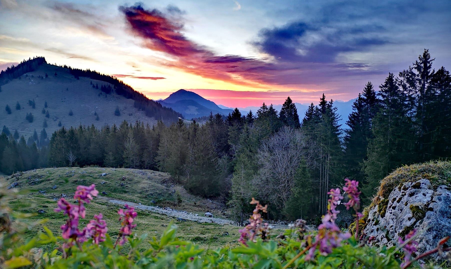Einblicke und Inspiration – Bild 6