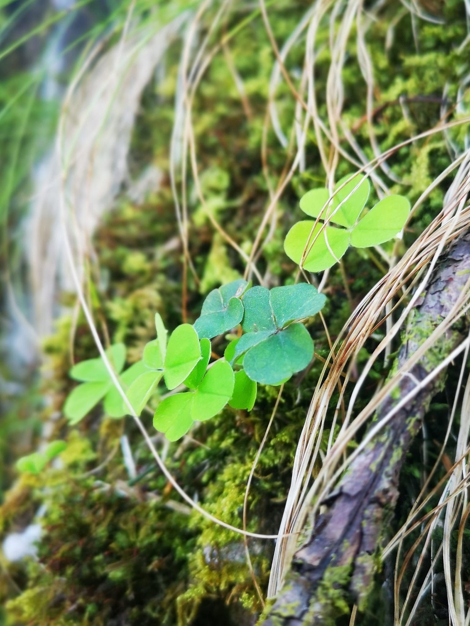 Einblicke und Inspiration – Bild 8
