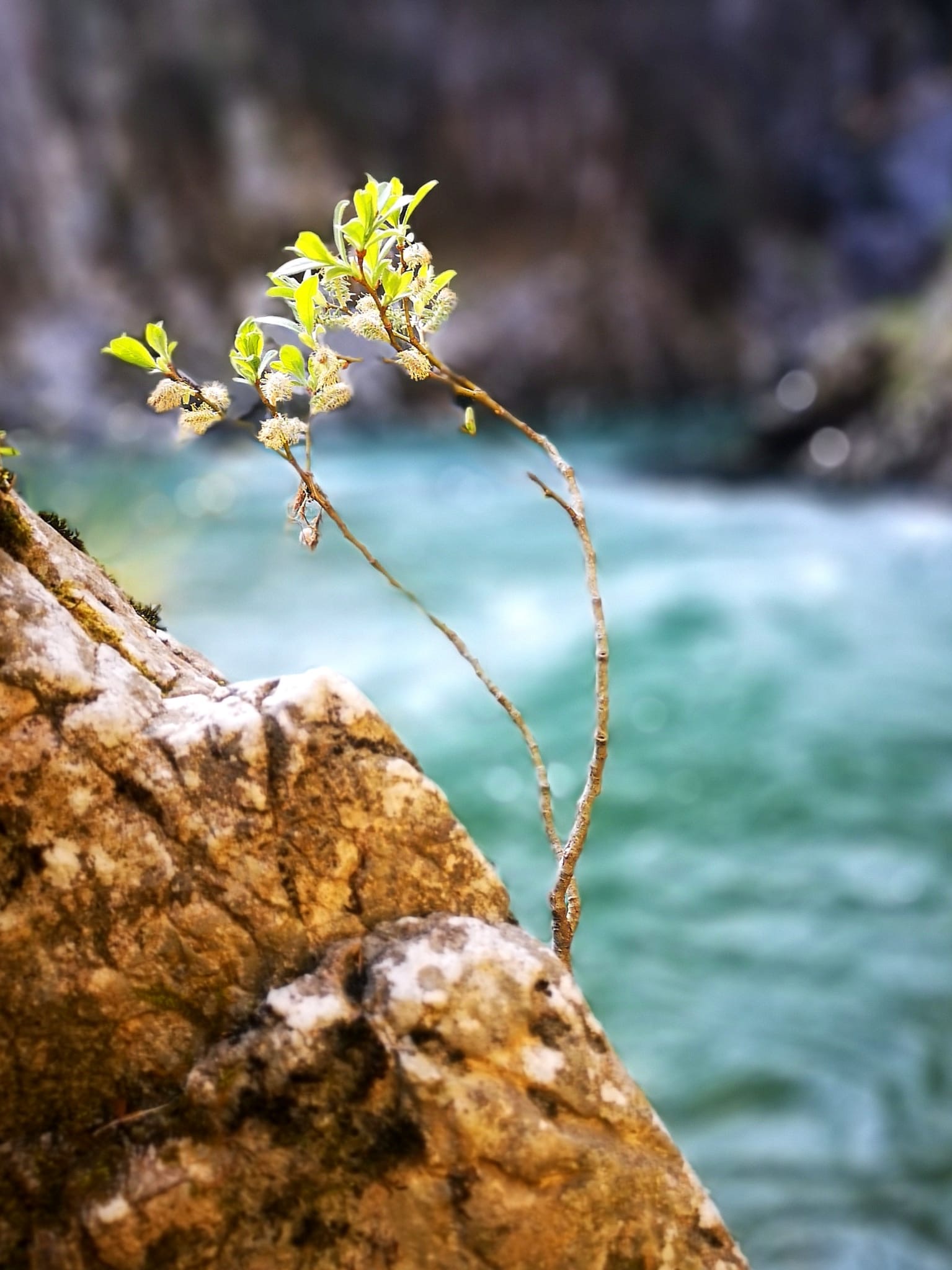 Einblicke und Inspiration – Bild 12