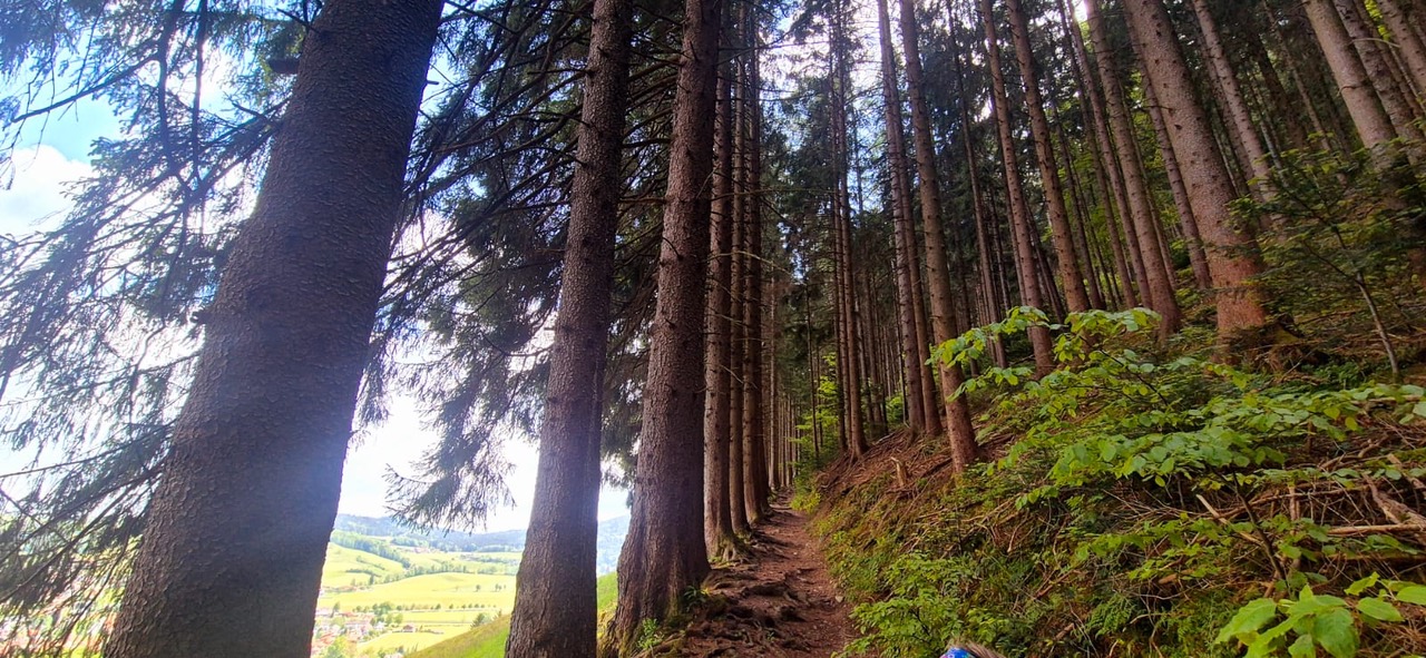 Almbad Huberspitz – Impression 3