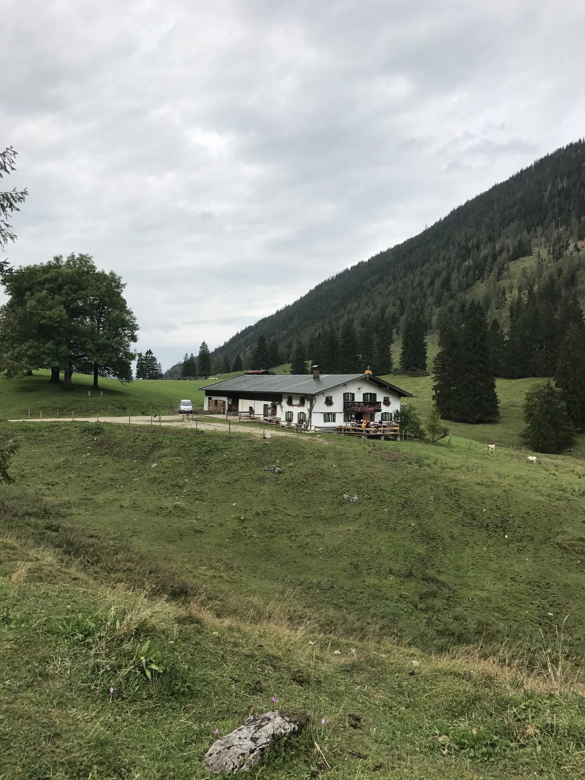 Niederhofer Alm – Impression 1