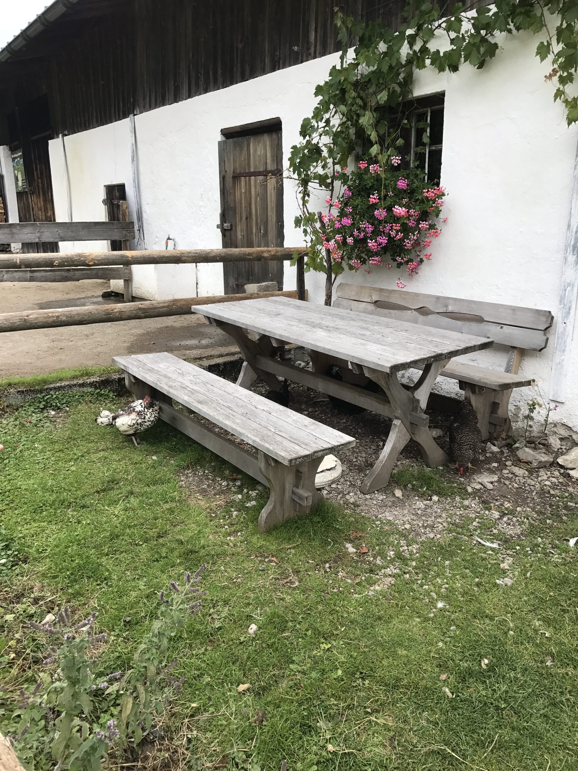 Niederhofer Alm – Impression 3