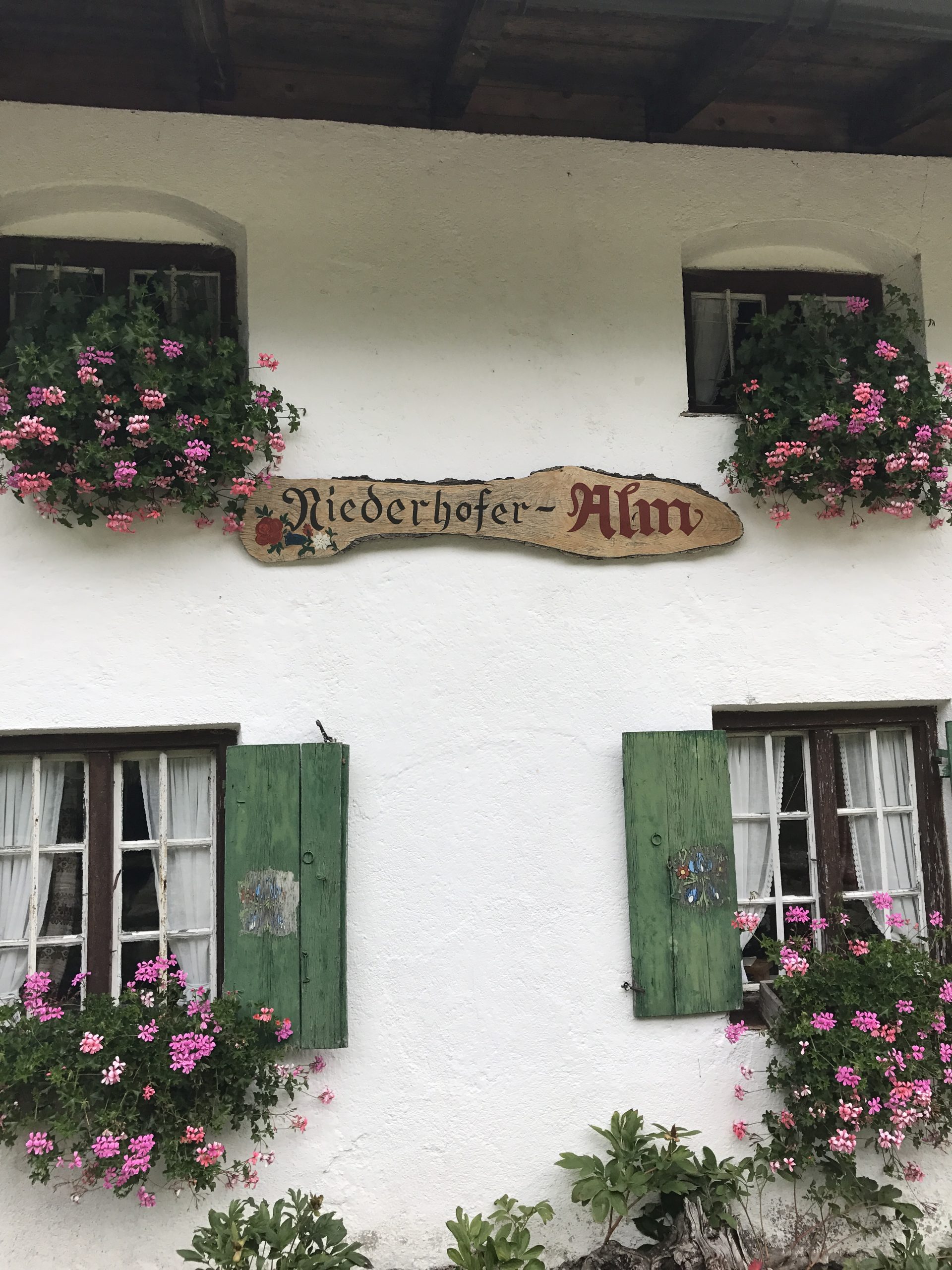 Niederhofer Alm – Impression 4